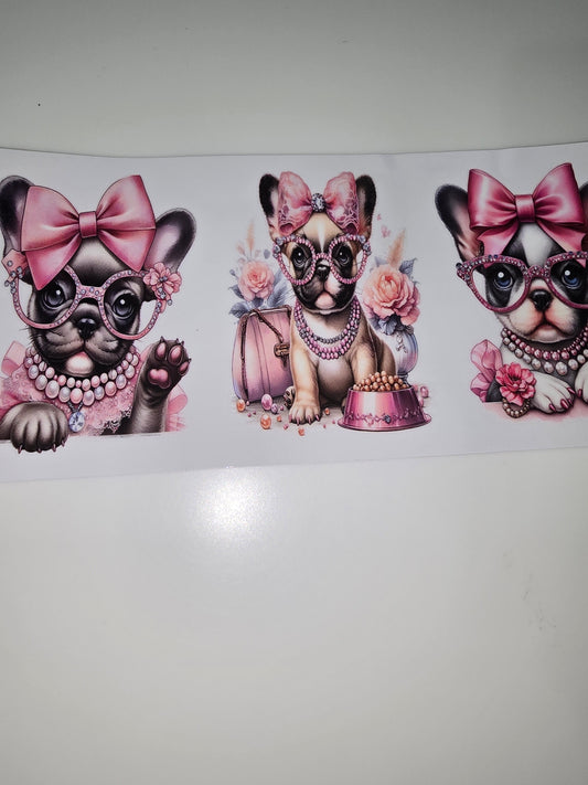 Fancy Frenchies 3