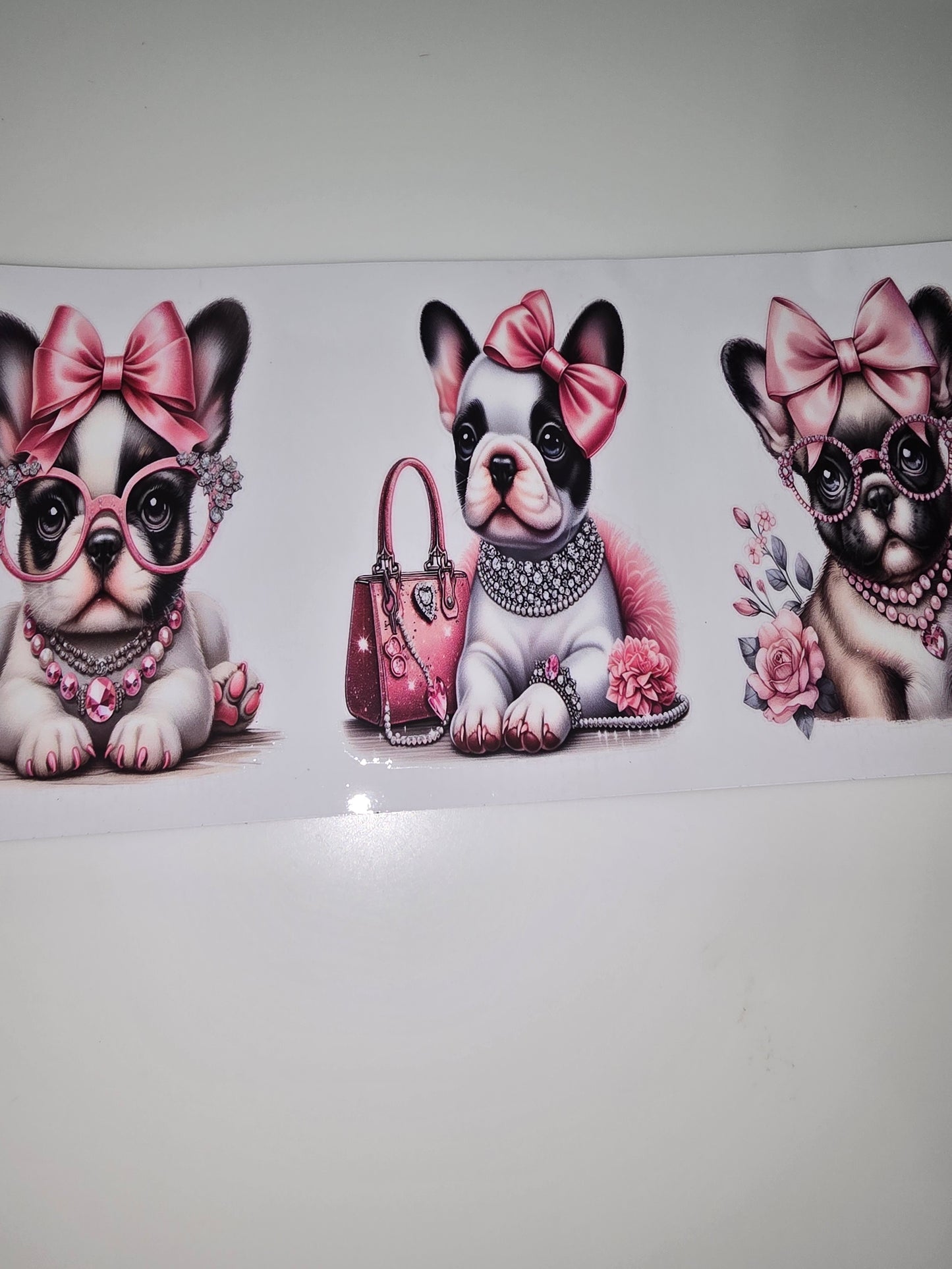 Fancy Frenchie 1