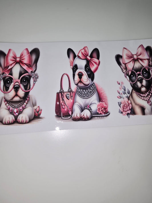 Fancy Frenchie 1
