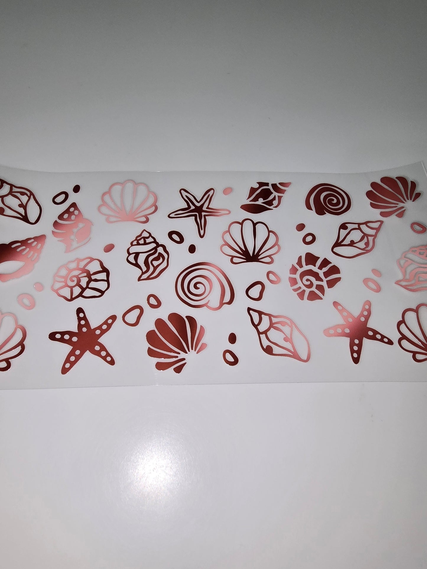 Pretty Shells