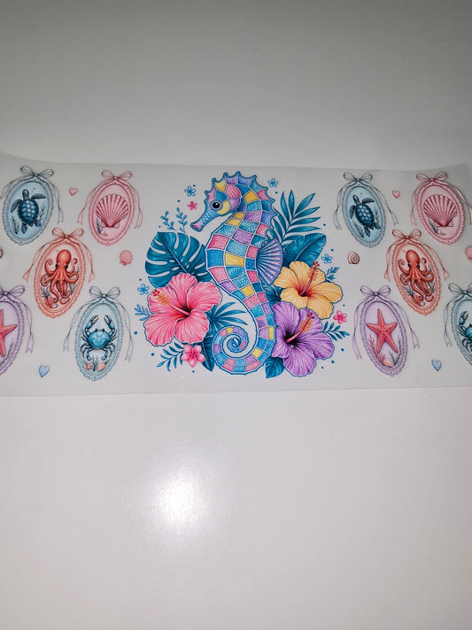 Seahorse & Family Pics