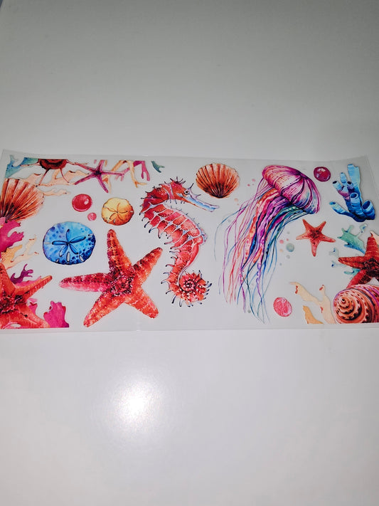 Ocean Life 2