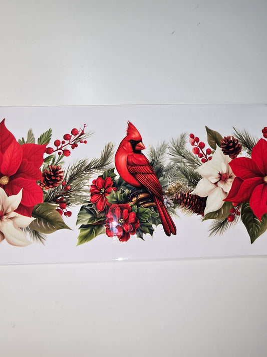 Cardinal on a poinsetta