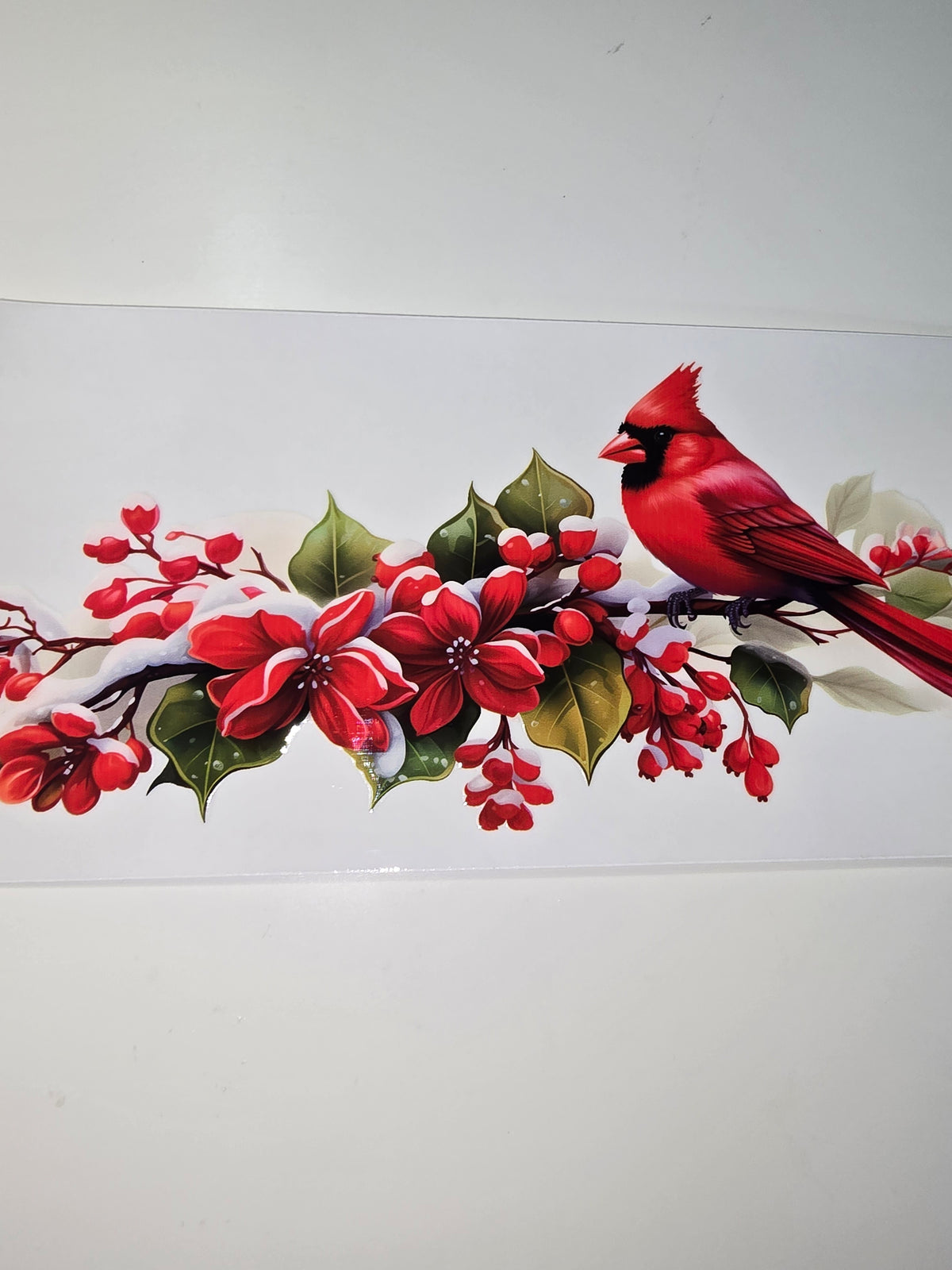 Cardinal 1