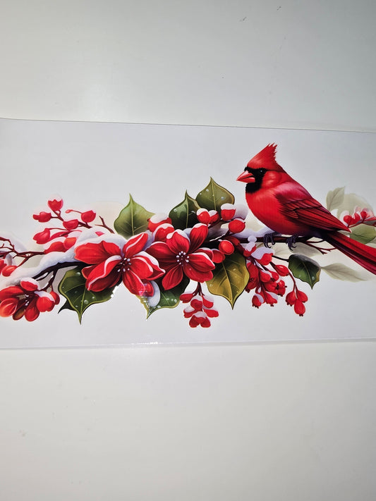 Cardinal 1